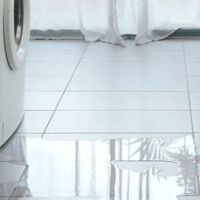 Appliance Leak Cleanup in Evergreen, WI