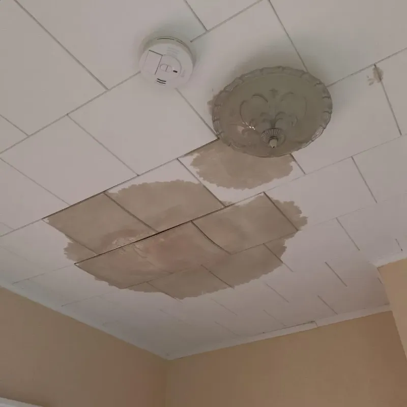 Ceiling Water Damage Repair in Evergreen, WI