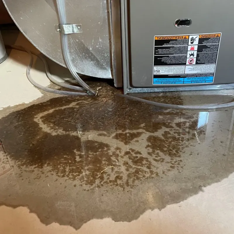 Pipe Burst and Leak Restoration in Evergreen, WI