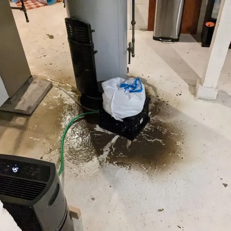 Sewage Backup Cleanup Service in Evergreen, WI